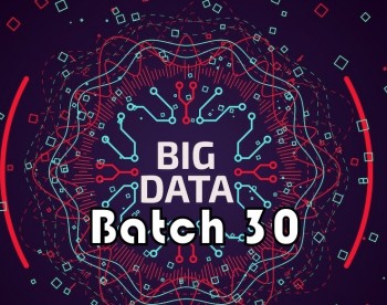 batch 30